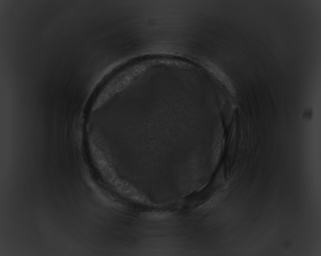 X0000091880580200710031123