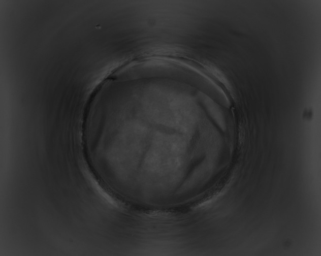 X0000091880581200710031123