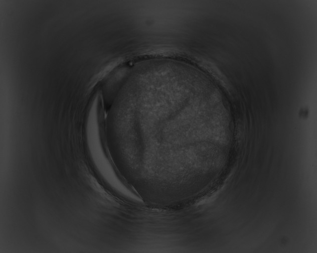 X0000091880585200710031123