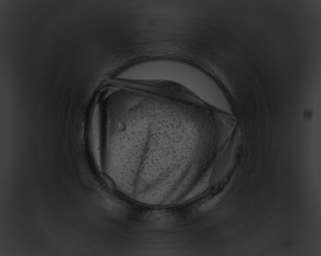 X0000091880589200710031123