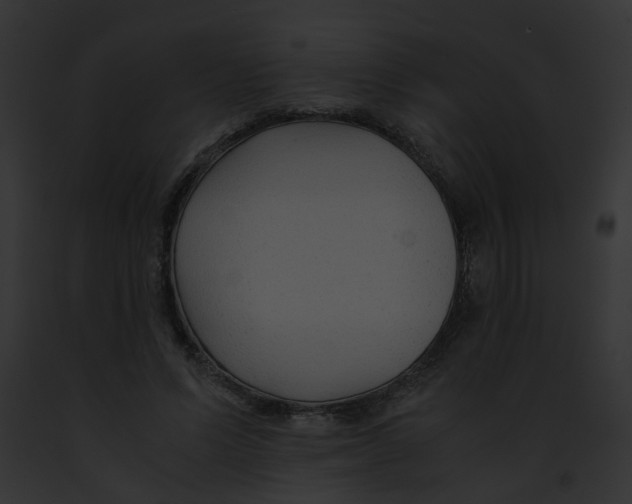 X0000091880591200710031123