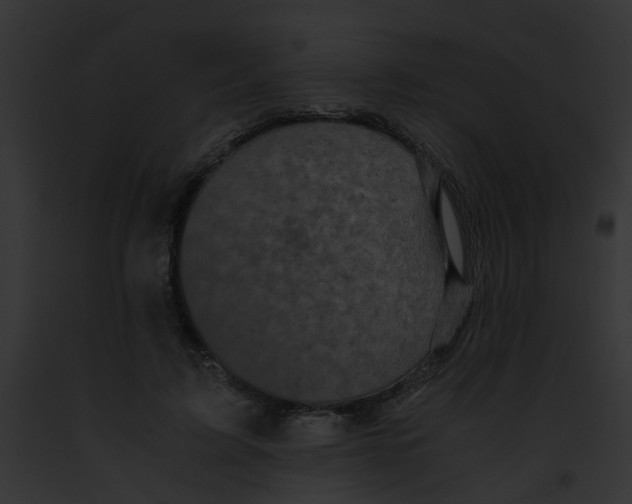 X0000091880595200710031123