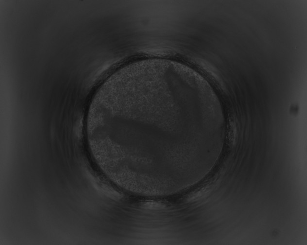 X0000091880596200710031122