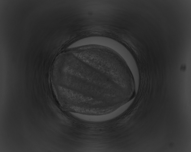 X0000091880597200710031122