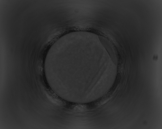 X0000091880599200710031122