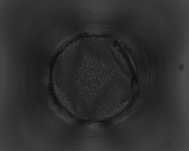 X0000091880600200710031122