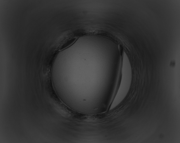 X0000091880601200710031122