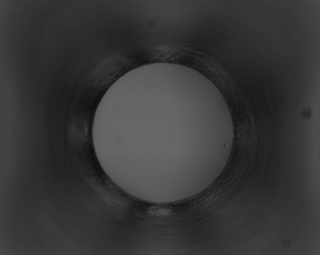 X0000091880602200710031122