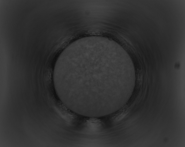 X0000091880603200710031122