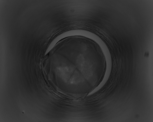 X0000091880604200710031122