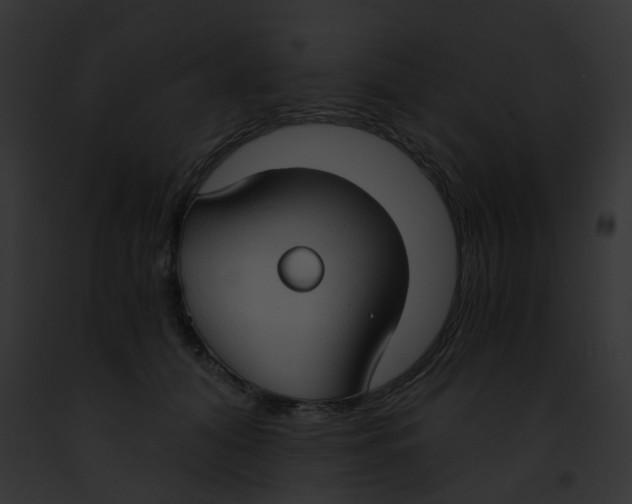 X0000091880608200710031122