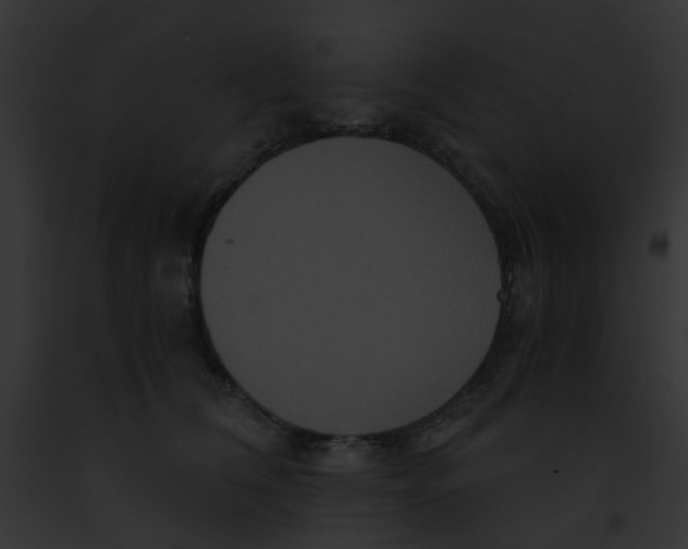 X0000091880612200710031122