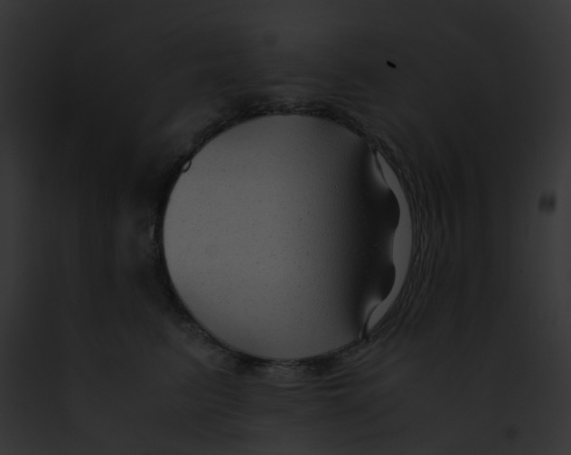 X0000091880615200710031122