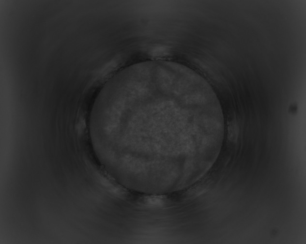 X0000091880618200710031122