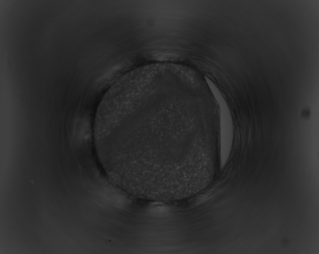 X0000091880620200710031122