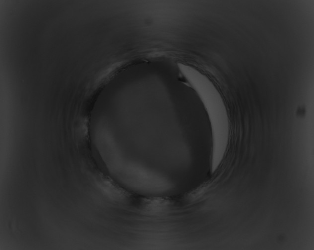 X0000091880621200710031122