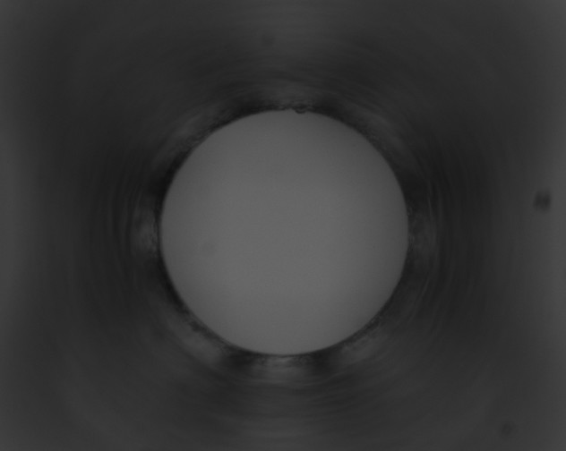 X0000091880622200710031122