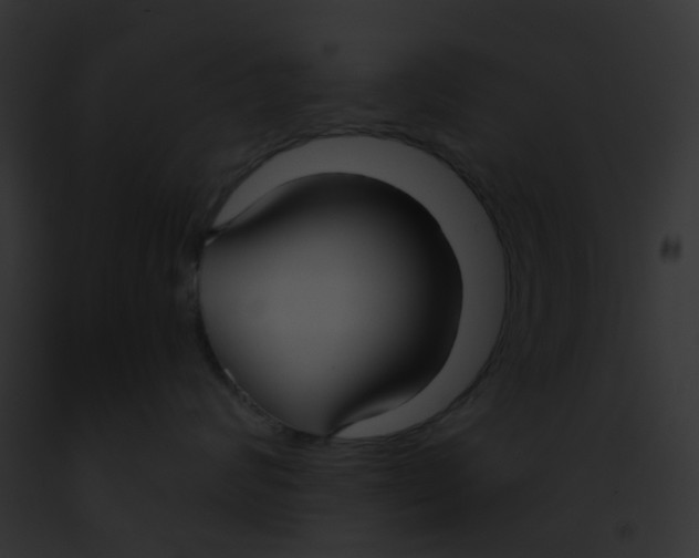 X0000091880624200710031122