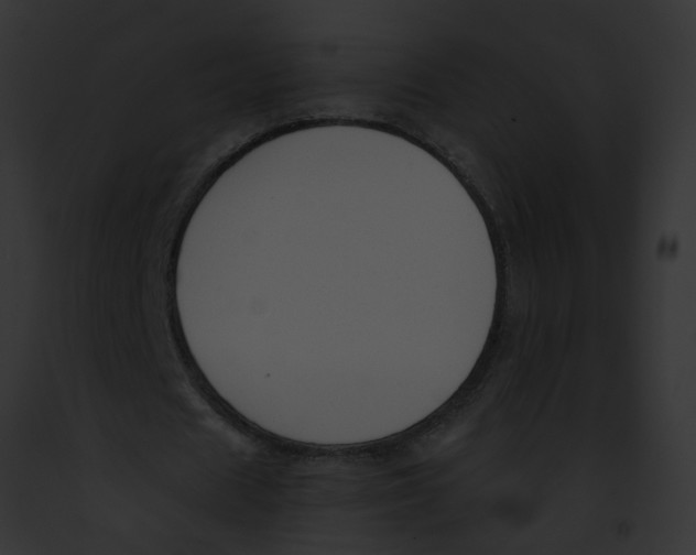 X0000091880625200710031122