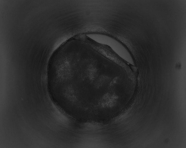 X0000091880630200710031122