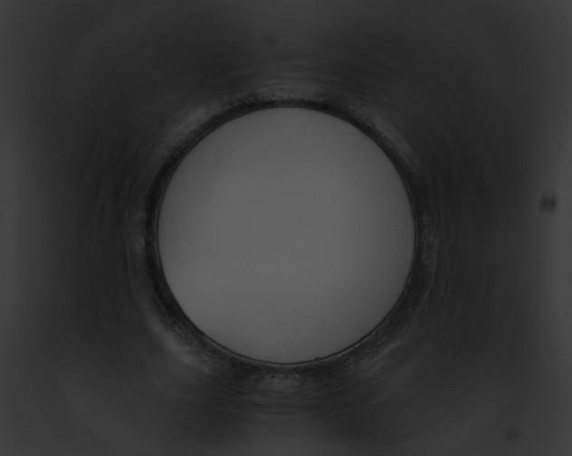 X0000091880631200710031122