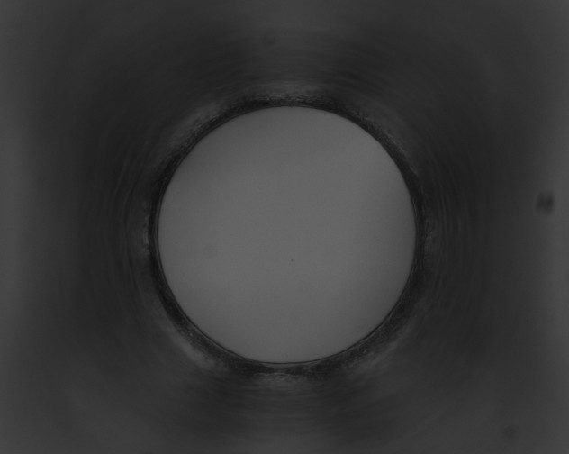 X0000091880633200710031122