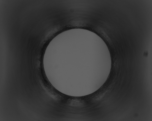 X0000091880635200710031122