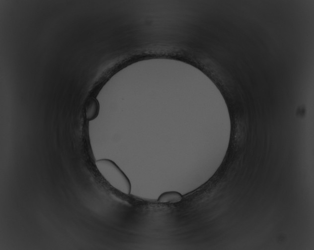 X0000091880636200710031122