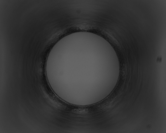 X0000091880639200710031122