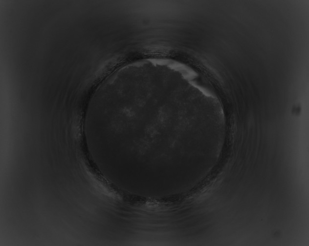 X0000091880641200710031122