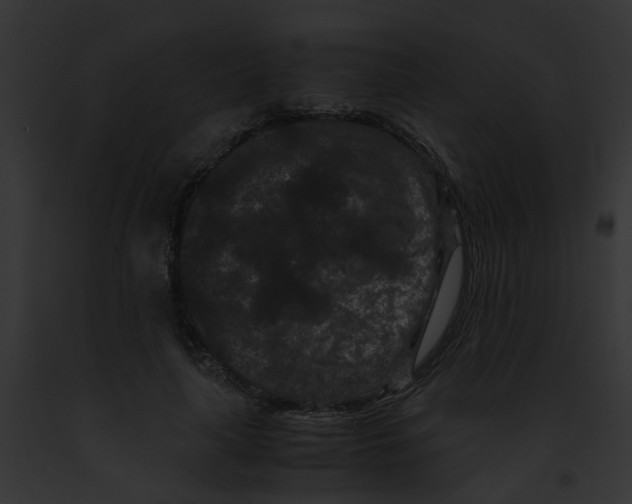 X0000091880643200710031122