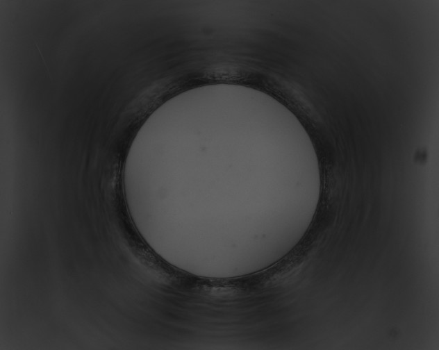 X0000091880645200710031122