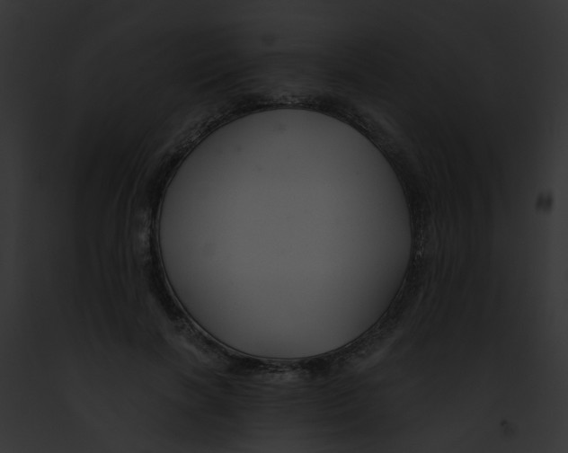 X0000091880646200710031122