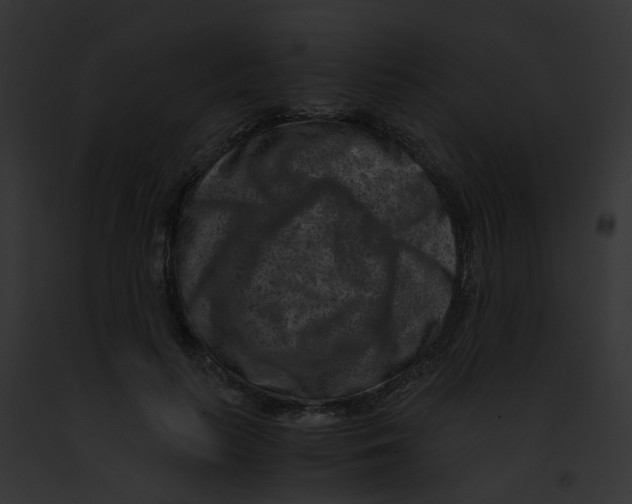 X0000091880647200710031122