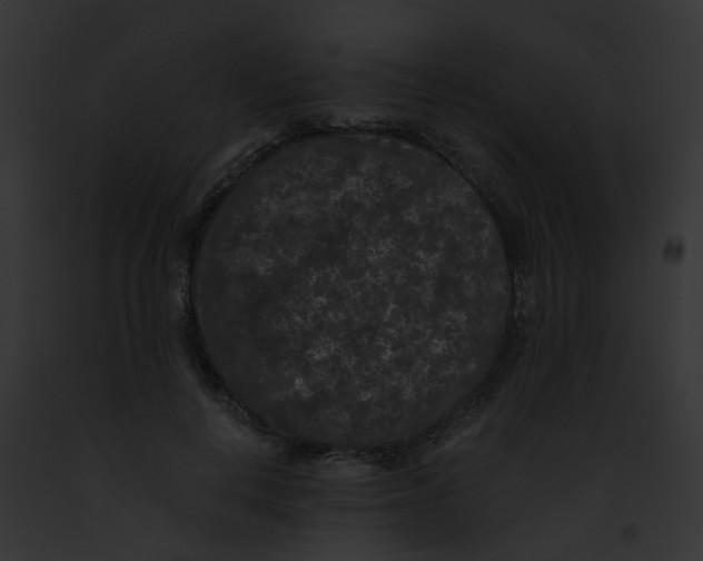 X0000091880648200710031122