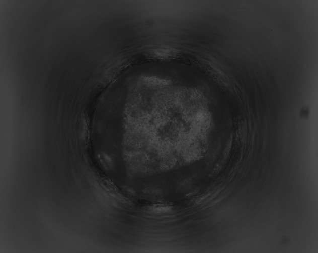 X0000091880651200710031122