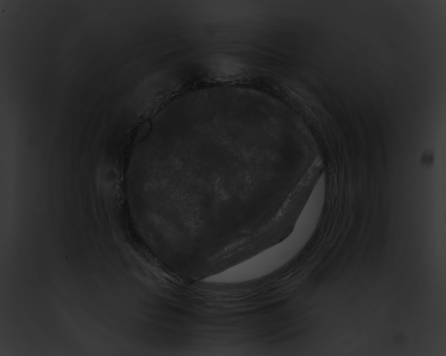 X0000091880653200710031122