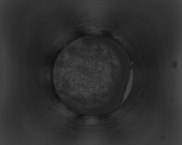 X0000091880658200710031122