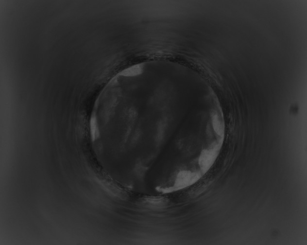 X0000091880659200710031122