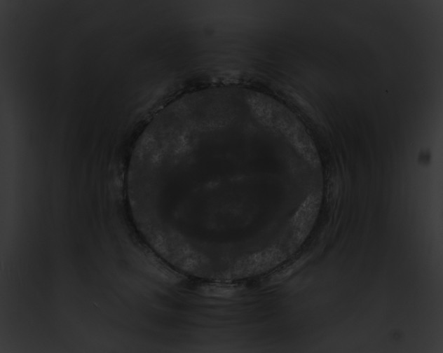 X0000091880661200710031122