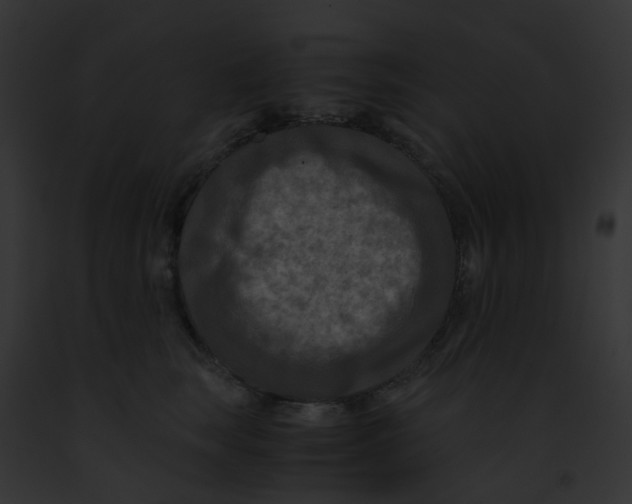 X0000091880663200710031122