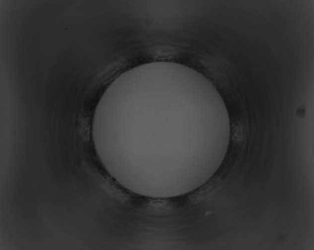 X0000091880666200710031122