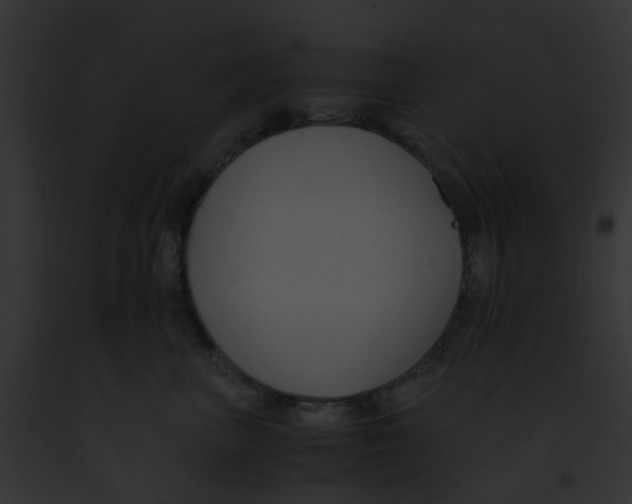 X0000091880667200710031122