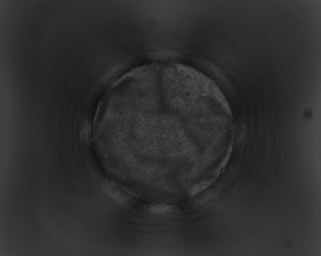 X0000091880669200710031122