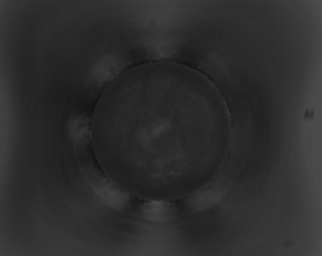 X0000091880672200710031122