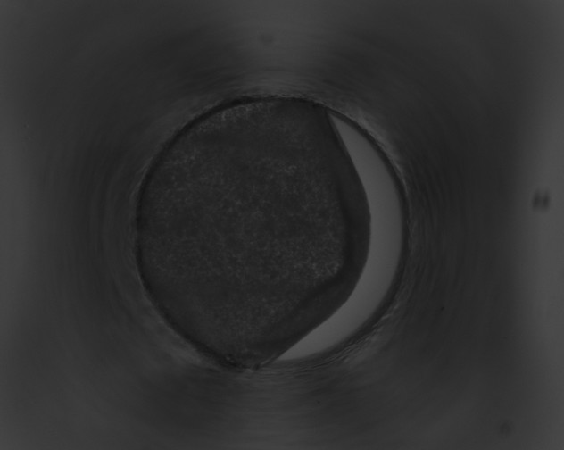 X0000091880673200710031122