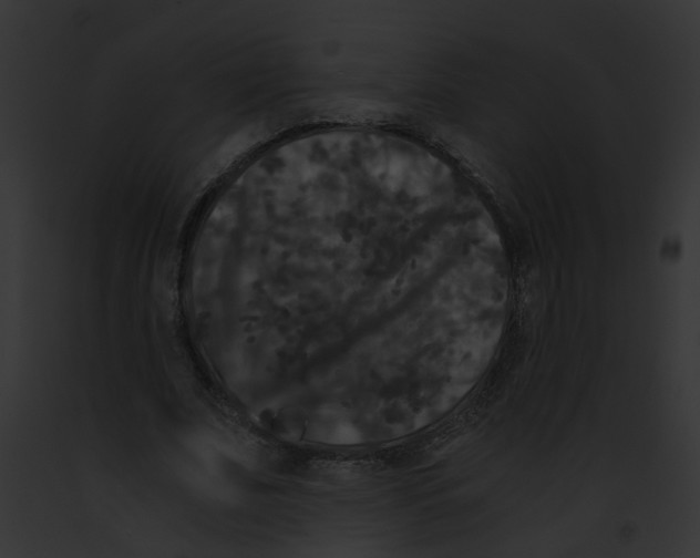 X0000091880679200710031121