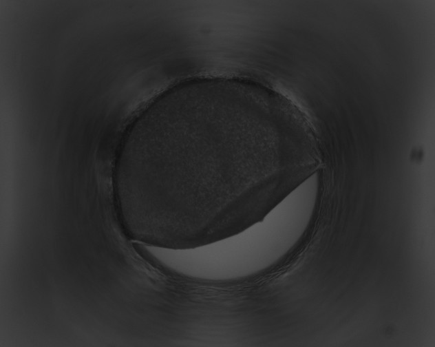 X0000091880681200710031121