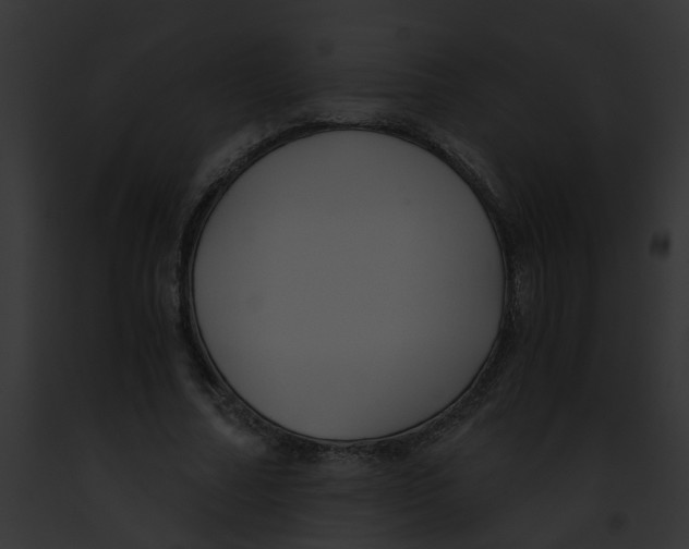 X0000091880682200710031121