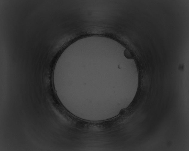 X0000091880683200710031121